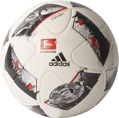 Ảnh của Torfabrik official game ball